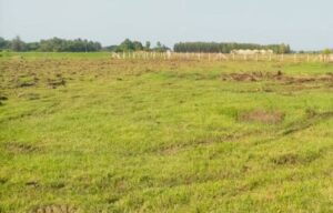 agriculture farm land for sale in Kiliyanur Highway
